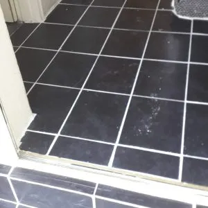 RECENT PROJECTS (25)