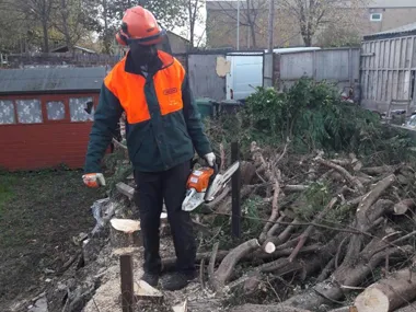 Tree Surgery